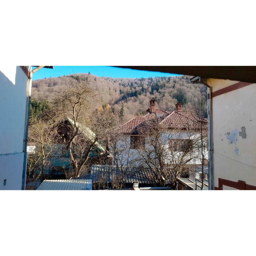 Vaso Apartament Sinaia Exterior foto